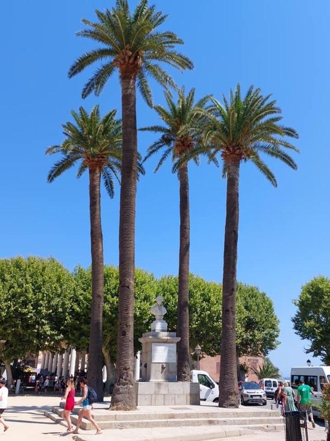 Appartement T4 très bien situé et climatisé LʼÎle-Rousse Exterior foto
